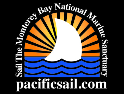 New logo flag