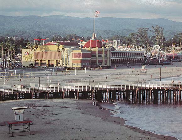 Wharf Coconut