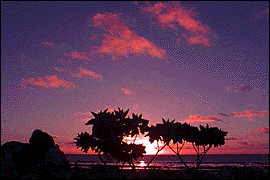 Book your trip with Pacific Yacht and Sailing